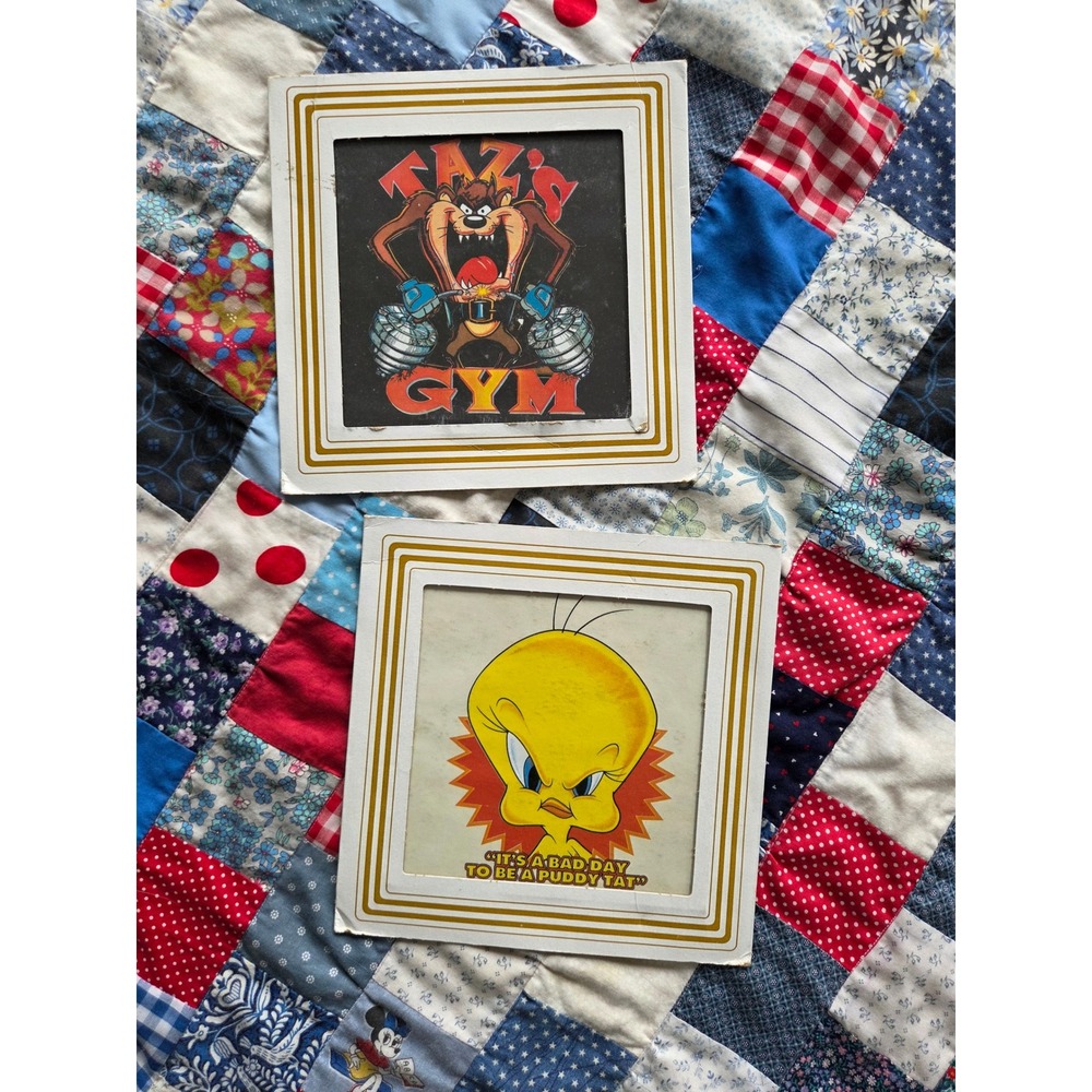 Vintage Looney Tunes Glass Art Set Taz's Gym Tweety Bird Warner Bros 8x8 Retro